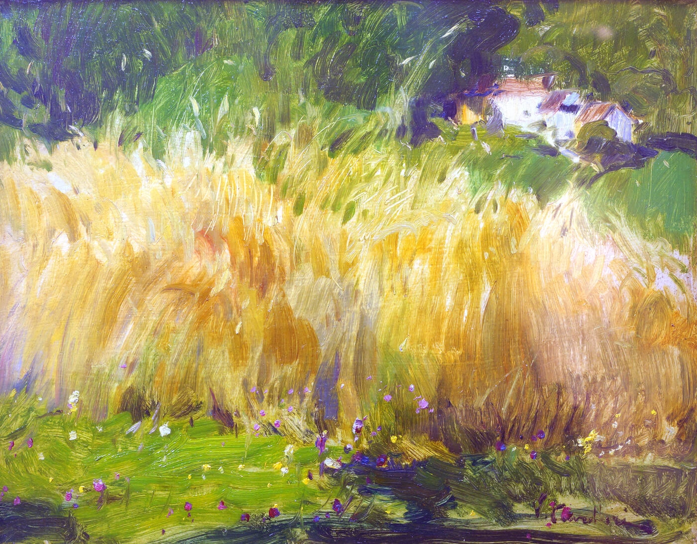 Campo di grano